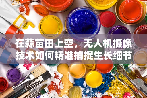 在蒜苗田上空，无人机摄像技术如何精准捕捉生长细节？