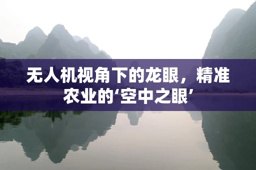 无人机视角下的龙眼，精准农业的‘空中之眼’