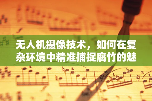 无人机摄像技术，如何在复杂环境中精准捕捉腐竹的魅力？