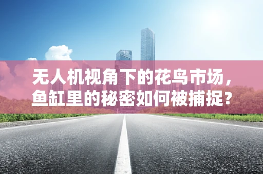 无人机视角下的花鸟市场，鱼缸里的秘密如何被捕捉？