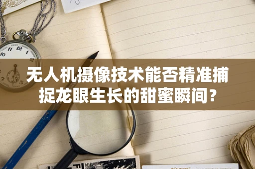 无人机摄像技术能否精准捕捉龙眼生长的甜蜜瞬间？