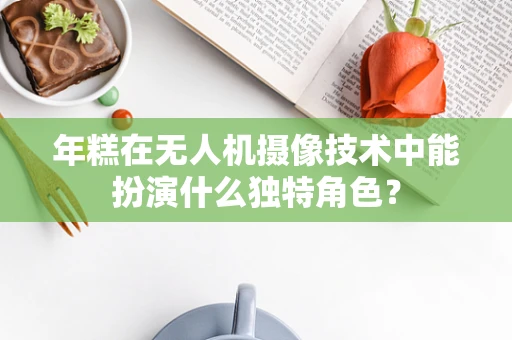 年糕在无人机摄像技术中能扮演什么独特角色？