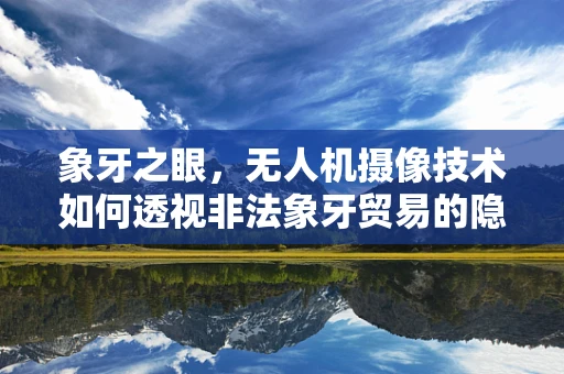象牙之眼，无人机摄像技术如何透视非法象牙贸易的隐秘角落？