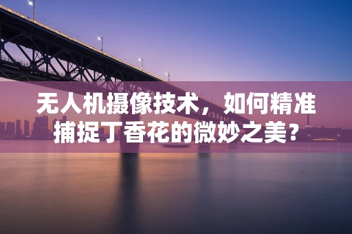 无人机摄像技术，如何精准捕捉丁香花的微妙之美？