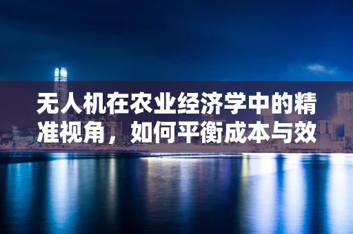 无人机在农业经济学中的精准视角，如何平衡成本与效益？