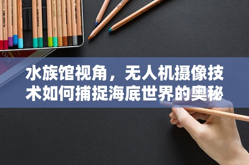 水族馆视角，无人机摄像技术如何捕捉海底世界的奥秘？