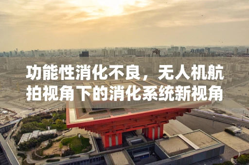功能性消化不良，无人机航拍视角下的消化系统新视角？