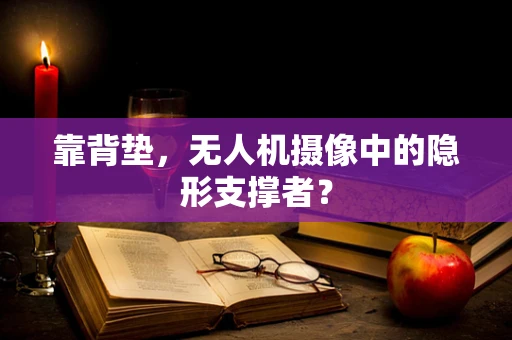 靠背垫，无人机摄像中的隐形支撑者？