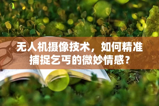 无人机摄像技术，如何精准捕捉乞丐的微妙情感？