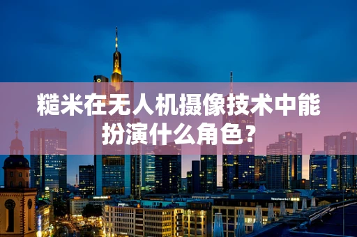 糙米在无人机摄像技术中能扮演什么角色？