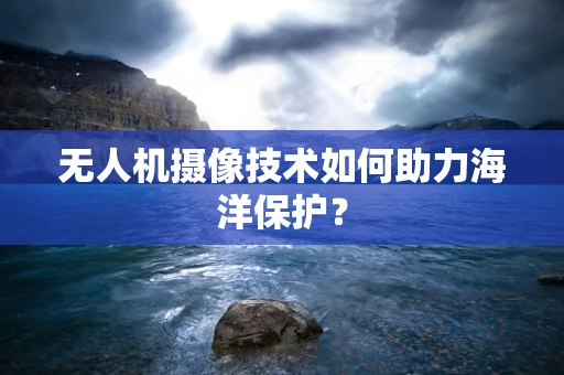 无人机摄像技术如何助力海洋保护？