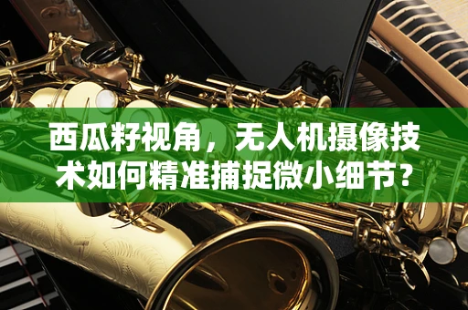 西瓜籽视角，无人机摄像技术如何精准捕捉微小细节？