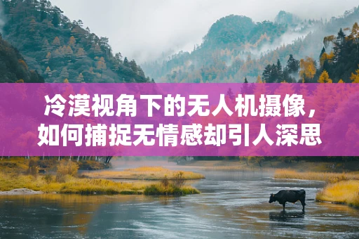 冷漠视角下的无人机摄像，如何捕捉无情感却引人深思的画面？