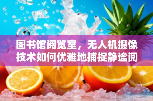 图书馆阅览室，无人机摄像技术如何优雅地捕捉静谧阅读时光？