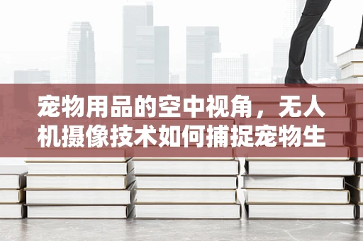 宠物用品的空中视角，无人机摄像技术如何捕捉宠物生活的温馨瞬间？
