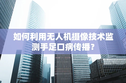 如何利用无人机摄像技术监测手足口病传播？