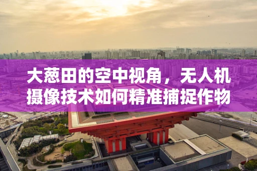 大葱田的空中视角，无人机摄像技术如何精准捕捉作物生长细节？