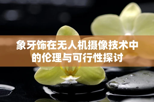 象牙饰在无人机摄像技术中的伦理与可行性探讨
