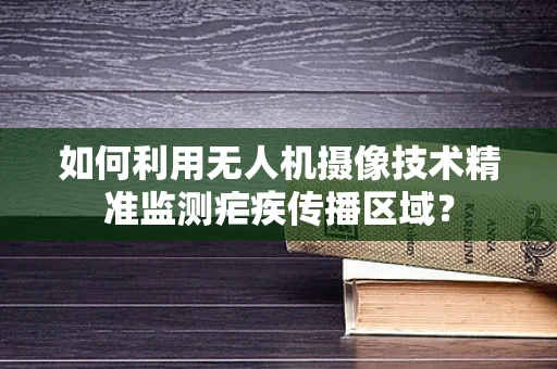 如何利用无人机摄像技术精准监测疟疾传播区域？