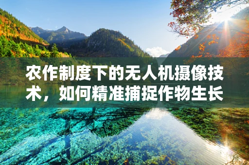 农作制度下的无人机摄像技术，如何精准捕捉作物生长的每一个细节？