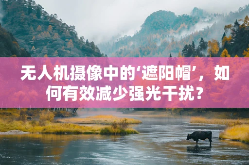 无人机摄像中的‘遮阳帽’，如何有效减少强光干扰？