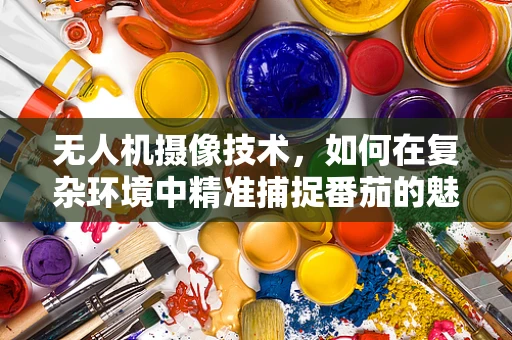 无人机摄像技术，如何在复杂环境中精准捕捉番茄的魅力？