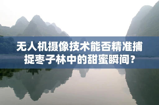 无人机摄像技术能否精准捕捉枣子林中的甜蜜瞬间？
