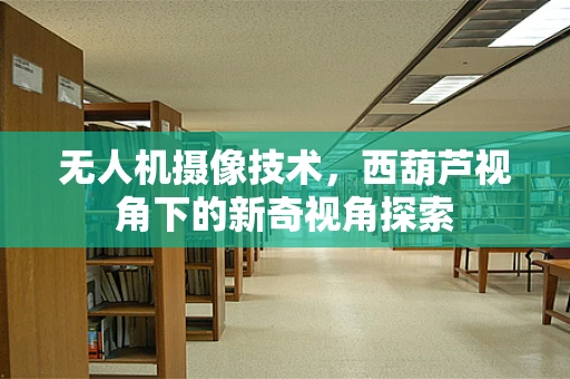 无人机摄像技术，西葫芦视角下的新奇视角探索