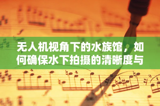 无人机视角下的水族馆，如何确保水下拍摄的清晰度与安全性？