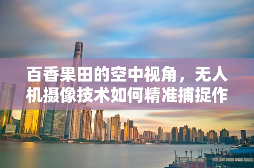 百香果田的空中视角，无人机摄像技术如何精准捕捉作物生长细节？