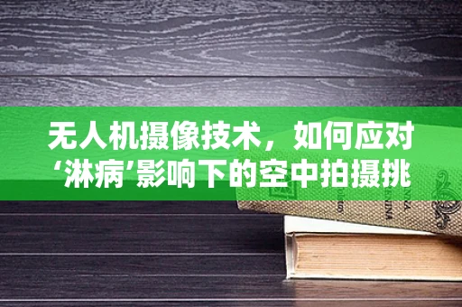 无人机摄像技术，如何应对‘淋病’影响下的空中拍摄挑战？