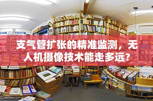 支气管扩张的精准监测，无人机摄像技术能走多远？