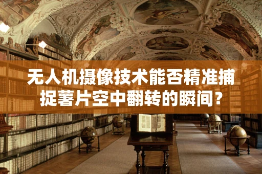 无人机摄像技术能否精准捕捉薯片空中翻转的瞬间？
