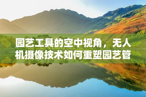 园艺工具的空中视角，无人机摄像技术如何重塑园艺管理？