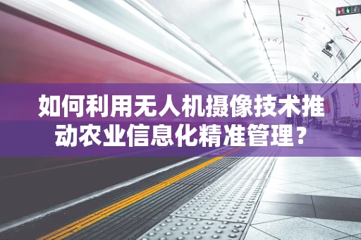 如何利用无人机摄像技术推动农业信息化精准管理？