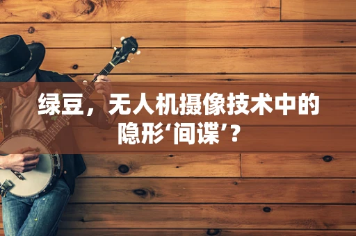 绿豆，无人机摄像技术中的隐形‘间谍’？