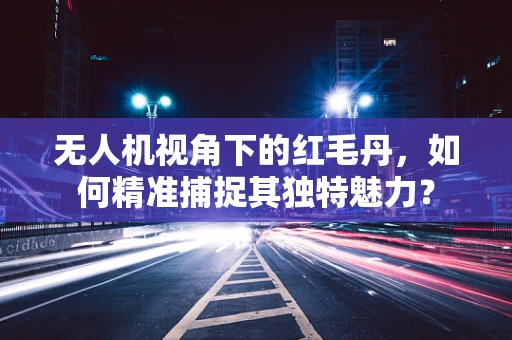 无人机视角下的红毛丹，如何精准捕捉其独特魅力？