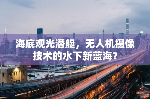 海底观光潜艇，无人机摄像技术的水下新蓝海？