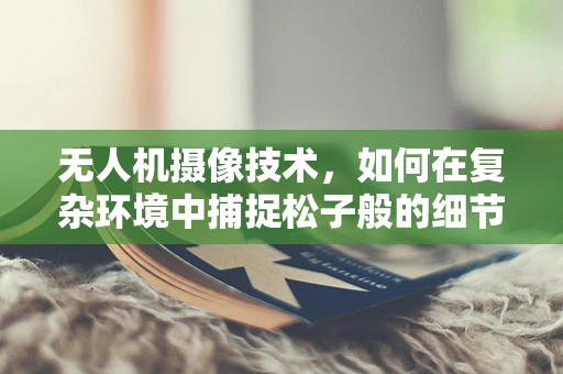 无人机摄像技术，如何在复杂环境中捕捉松子般的细节？