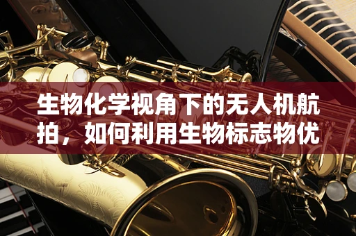 生物化学视角下的无人机航拍，如何利用生物标志物优化图像稳定性？