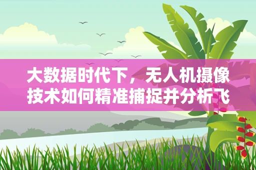 大数据时代下，无人机摄像技术如何精准捕捉并分析飞行数据？