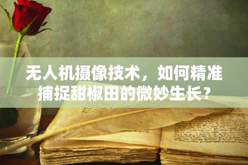 无人机摄像技术，如何精准捕捉甜椒田的微妙生长？