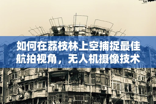 如何在荔枝林上空捕捉最佳航拍视角，无人机摄像技术的挑战与解决方案