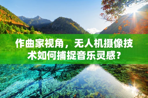 作曲家视角，无人机摄像技术如何捕捉音乐灵感？