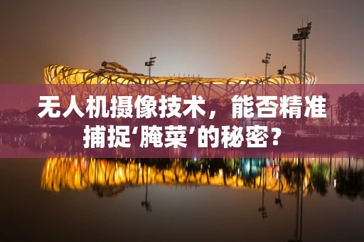 无人机摄像技术，能否精准捕捉‘腌菜’的秘密？