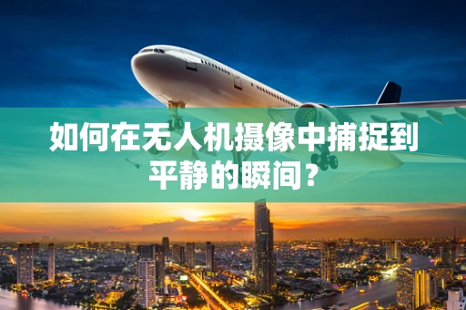 如何在无人机摄像中捕捉到平静的瞬间？