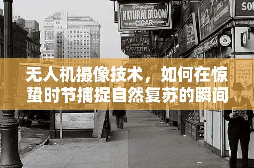 无人机摄像技术，如何在惊蛰时节捕捉自然复苏的瞬间？