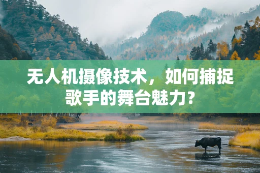 无人机摄像技术，如何捕捉歌手的舞台魅力？