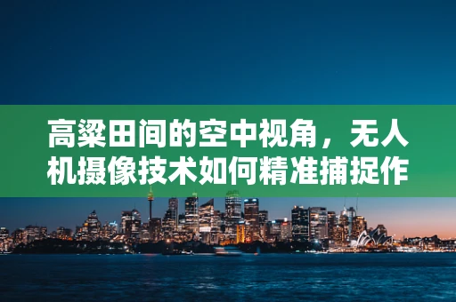 高粱田间的空中视角，无人机摄像技术如何精准捕捉作物生长细节？