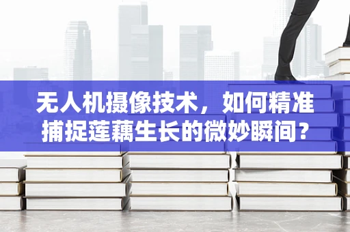 无人机摄像技术，如何精准捕捉莲藕生长的微妙瞬间？